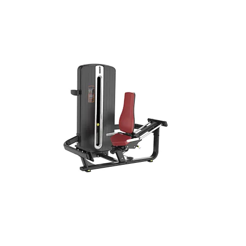 Chest Press
